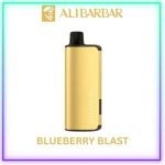 Blueberry Blast – INGOT 9000