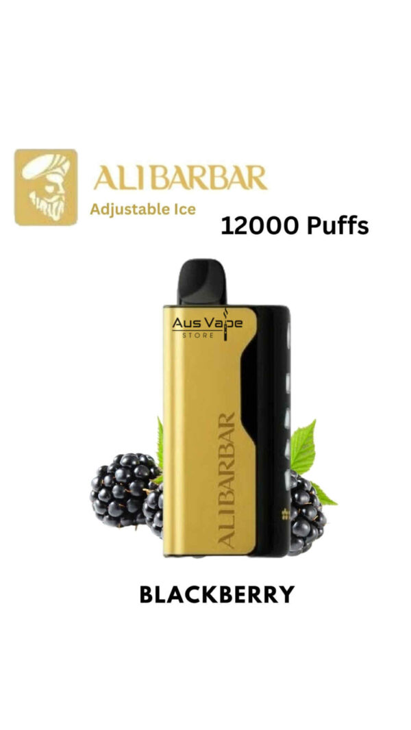 att.PttORv5mZVjMmx_2fbCMDK4yFObB-nTSlTcGxcpU_gY-600x1066-1 ALIBARBAR ICE ADJUST – BLACKBERRY – 12000 PUFFS - Image 1